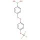 4-[4′-(Trifluoromethoxy)phenoxymethyl]phenylboronic acid (CAS 870778-97-5) - chemical structure image