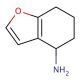 4,5,6,7-tetrahydro-1-benzofuran-4-amine - chemical structure image