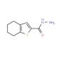 4,5,6,7-Tetrahydro-1-benzothiophene-2-carbohydrazide (CAS 65361-27-5) - chemical structure image