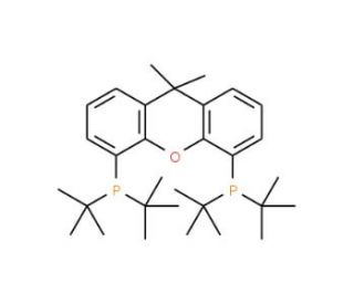 4,5-Bis(di-tert-butylphosphino)-9,9-dimethylxanthene (CAS 856405-77-1) - chemical structure image