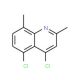 4,5-Dichloro-2,8-dimethylquinoline (CAS 21629-52-7) - chemical structure image