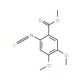 4,5-Dimethoxy-2-carbomethoxyphenylisothiocyanate - chemical structure image