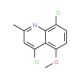 4,8-Dichloro-5-methoxy-2-methylquinoline (CAS 1206-61-7) - chemical structure image