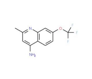 4-Amino-2-methyl-7-trifluoromethoxyquinoline (CAS 1189105-71-2) - chemical structure image