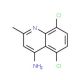 4-Amino-5,8-dichloro-2-methylquinoline (CAS 917562-04-0) - chemical structure image