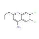 4-Amino-6,7-dichloro-2-propylquinoline (CAS 1189107-41-2) - chemical structure image