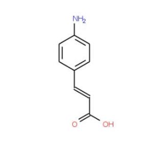 4-Aminocinnamic Acid (CAS 2393-18-2) - chemical structure image