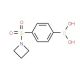 4-(Azetidin-1-ylsulfonyl)phenylboronic acid (CAS 871329-68-9) - chemical structure image