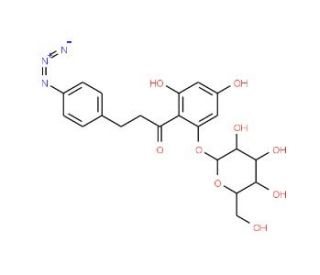 4-Azidophlorizin (CAS 79541-46-1) - chemical structure image