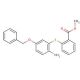 4-Benzyloxy-2-(2′-carbomethoxy)thiophenylaniline (CAS 329217-05-2) - chemical structure image