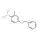 4-Benzyloxy-2-methylphenylboronic acid (CAS 847560-49-0) - chemical structure image