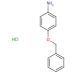 4-(Benzyloxy)aniline hydrochloride (CAS 51388-20-6) - chemical structure image