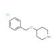 4-Benzyloxy-piperidine hydrochloride (CAS 81151-68-0) - chemical structure image