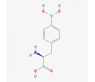 4 Borono L Phenylalanine Cas 58 7 Scbt Santa Cruz Biotechnology