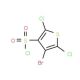 4-Bromo-2,5-dichlorothiophene-3-sulphonyl chloride (CAS 166964-36-9) - chemical structure image