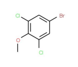 4-Bromo-2,6-dichloroanisole (CAS 19240-91-6) - chemical structure image