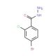 4-Bromo-2-chlorobenzhydrazide (CAS 206559-39-9) - chemical structure image