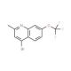 4-Bromo-2-methyl-7-trifluoromethoxyquinoline (CAS 1189105-69-8) - chemical structure image