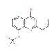 4-Bromo-2-propyl-8-trifluoromethoxyquinoline (CAS 1189106-81-7) - chemical structure image