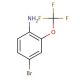 4-Bromo-2-(trifluoromethoxy)aniline (CAS 175278-09-8) - chemical structure image