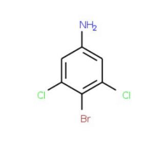 4-Bromo-3,5-dichloroaniline - chemical structure image