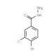 4-Bromo-3-chlorobenzhydrazide (CAS 148993-19-5) - chemical structure image