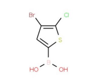 4-Bromo-5-chlorothiophene-2-boronic acid (CAS 1150114-72-9) - chemical structure image