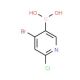 4-Bromo-6-chloropyridine-3-boronic acid (CAS 957062-85-0) - chemical structure image