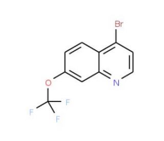 4-Bromo-7-trifluoromethoxyquinoline (CAS 1189105-57-4) - chemical structure image