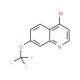 4-Bromo-7-trifluoromethoxyquinoline (CAS 1189105-57-4) - chemical structure image