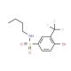 Struttura molecolare di 4-Bromo-N-butyl-3-(trifluoromethyl)benzenesulfonamide, Numero CAS: 1020253-05-7 4-Bromo-N-butyl-3-(trifluoromethyl)benzenesulfonamide (CAS 1020253-05-7) - chemical structure image
