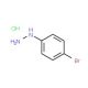 4-Bromophenylhydrazine hydrochloride (CAS 622-88-8) - chemical structure image