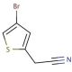 4-Bromothiophene-2-acetonitrile (CAS 160005-43-6) - chemical structure image