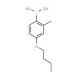 4-Butoxy-2-methylphenylboronic acid (CAS 845551-43-1) - chemical structure image