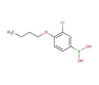 4-Butoxy-3-chlorophenylboronic acid (CAS 480438-55-9) - chemical structure image