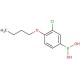 4-Butoxy-3-chlorophenylboronic acid (CAS 480438-55-9) - chemical structure image