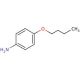 4-Butoxyaniline (CAS 4344-55-2) - chemical structure image