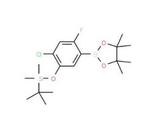 4-Chloro-2-fluoro-5-(TBDMSO)phenylboronic acid, pinacol ester (CAS 1150561-59-3) - chemical structure image