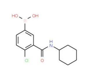 4-Chloro-3-(cyclohexylaminocarbonyl)phenylboronic acid (CAS 871332-92-2) - chemical structure image