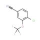 4-Chloro-3-(trifluoromethoxy)benzonitrile (CAS 886501-50-4) - chemical structure image