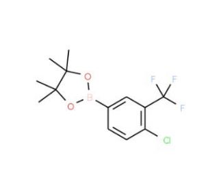 4-Chloro-3-(trifluoromethyl)phenylboronic acid pinacol ester (CAS 445303-09-3) - chemical structure image
