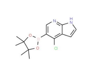 4-Chloro-5-(4,4,5,5-tetramethyl-1,3,2-dioxaborolan-2-yl)-1H-pyrrolo[2,3-b]pyridine (CAS 1072145-24-4) - chemical structure im