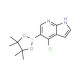 4-Chloro-5-(4,4,5,5-tetramethyl-1,3,2-dioxaborolan-2-yl)-1H-pyrrolo[2,3-b]pyridine (CAS 1072145-24-4) - chemical structure im