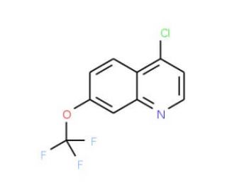 4-Chloro-7-trifluoromethoxyquinoline (CAS 40516-31-2) - chemical structure image