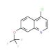 4-Chloro-7-trifluoromethoxyquinoline (CAS 40516-31-2) - chemical structure image