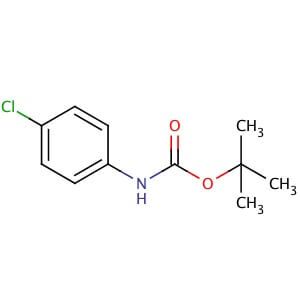 4-Chloro-(N-Boc)aniline | CAS 18437-66-6 | SCBT - Santa Cruz Biotechnology