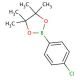4-Chlorophenylboronic acid pinacol ester (CAS 195062-61-4) - chemical structure image