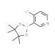 4-Chloropyridine-3-boronic acid pinacol ester (CAS 452972-15-5) - chemical structure image