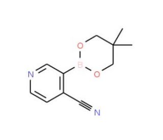 4-Cyanopyridine-3-boronic acid neopentyl glycol ester (CAS 868944-72-3) - chemical structure image