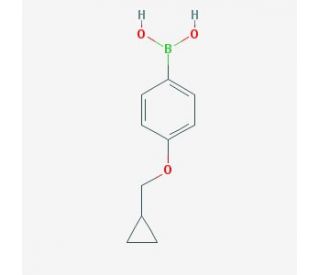 [4-(cyclopropylmethoxy)phenyl]boranediol (CAS 411229-67-9) - chemical structure image